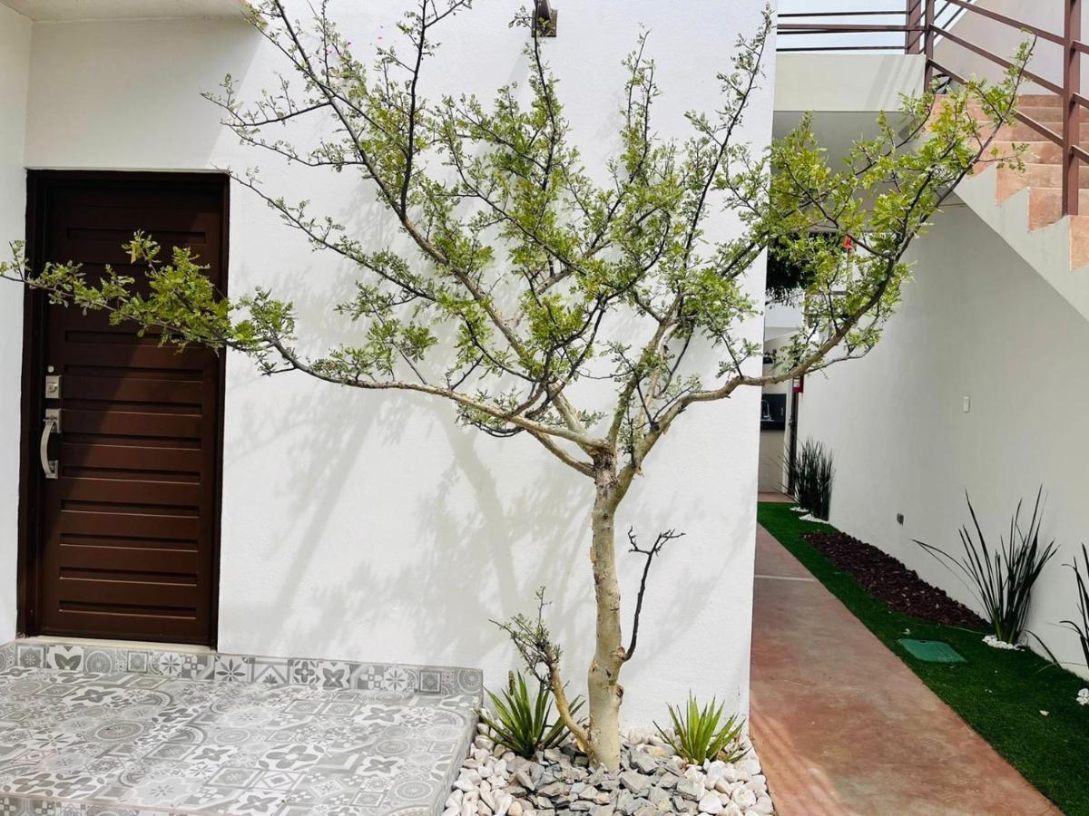 Casa Maya La Paz Extérieur photo